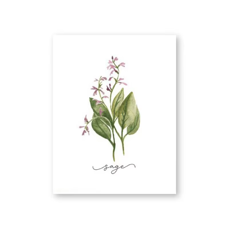 Affiches murales sur toile de Collection d'herbes, peinture de sauge d'organo, romarin, basilic, thy