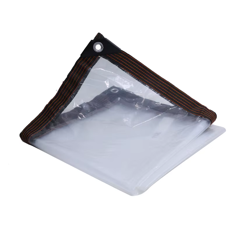 Bâche transparente imperméable 2x4m/2m en polyéthylène anti-déchirure avec œillets antirouille pour 