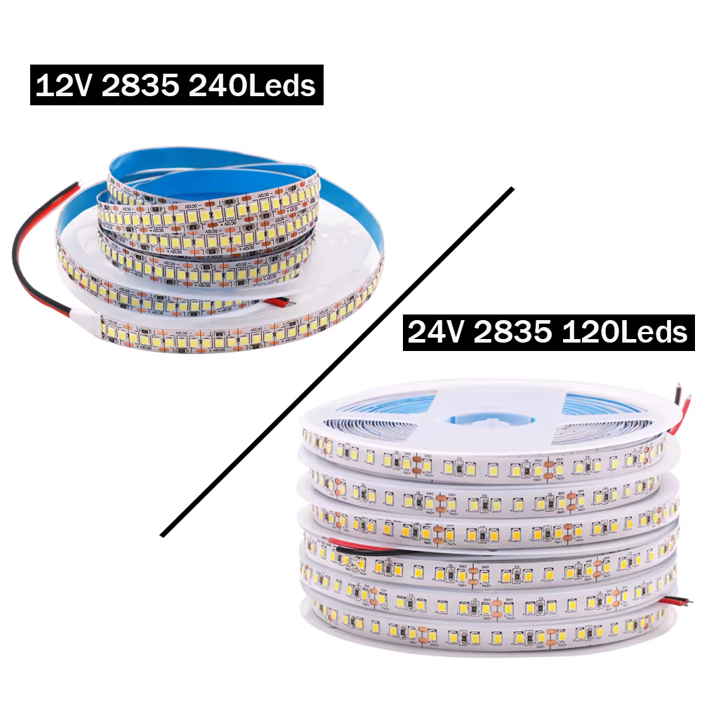 Bande LED SMD2835 12V 24V 5m 10m 15m 20m