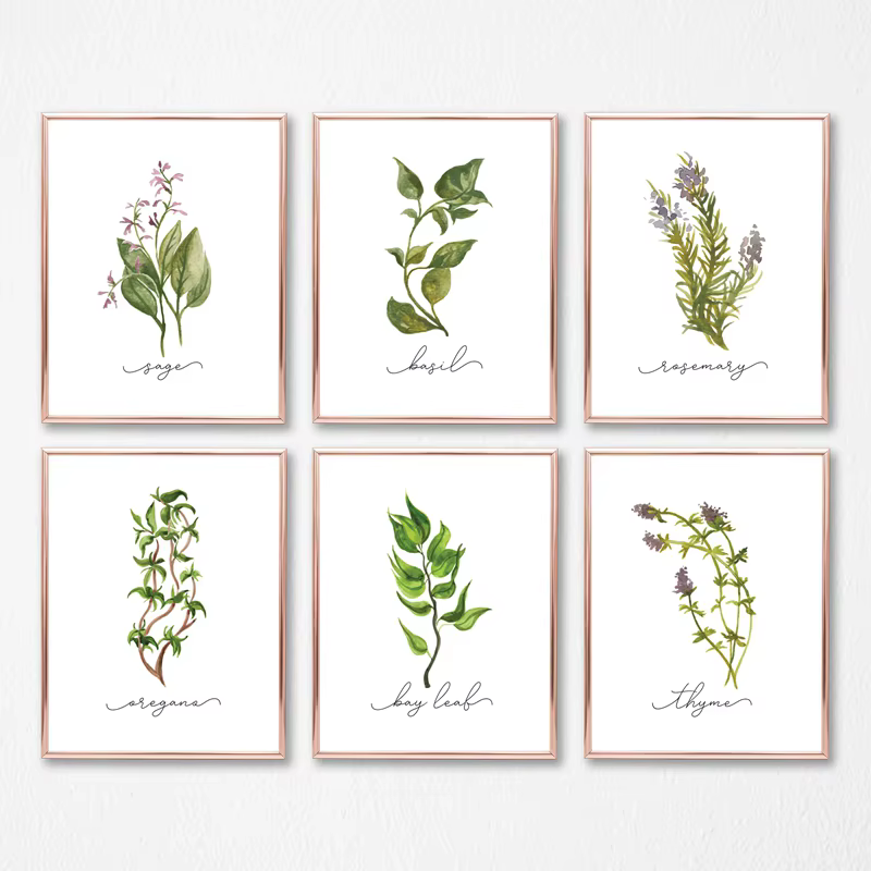 Affiches murales sur toile de Collection d'herbes, peinture de sauge d'organo, romarin, basilic, thym, aquarelle, image murale imprimée, décor de cuisine