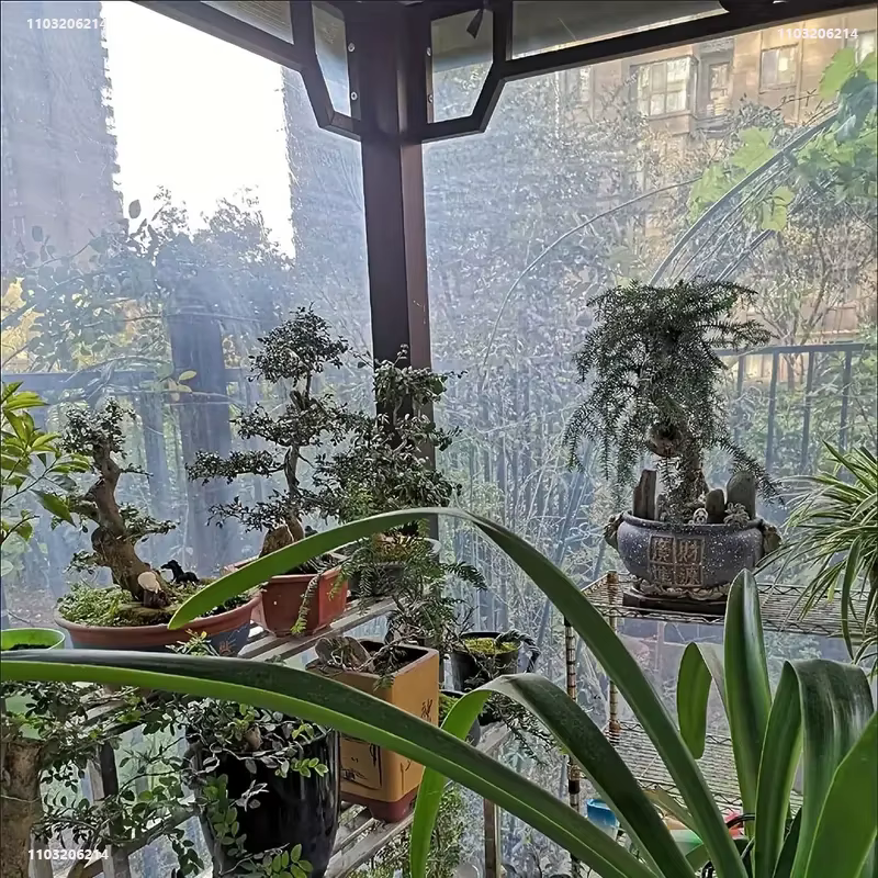Bâche transparente imperméable pour jardin