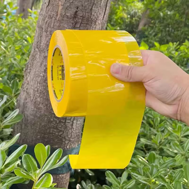 Ruban adhésif anti-insectes double face de 10 m