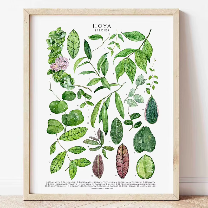 Toile murale à feuilles botaniques vertes, plantes d'intérieur naturelles, décoration de maison, feuillage apaisant et affiche d'intérieur de plantes