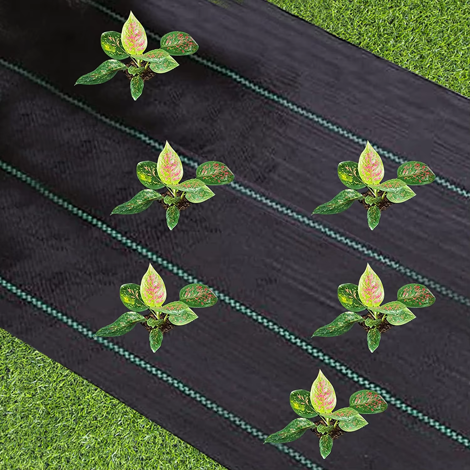Toile de paillage robuste pour jardins extérieurs – Tissu non tissé anti-mauvaises herbes – Rouleau