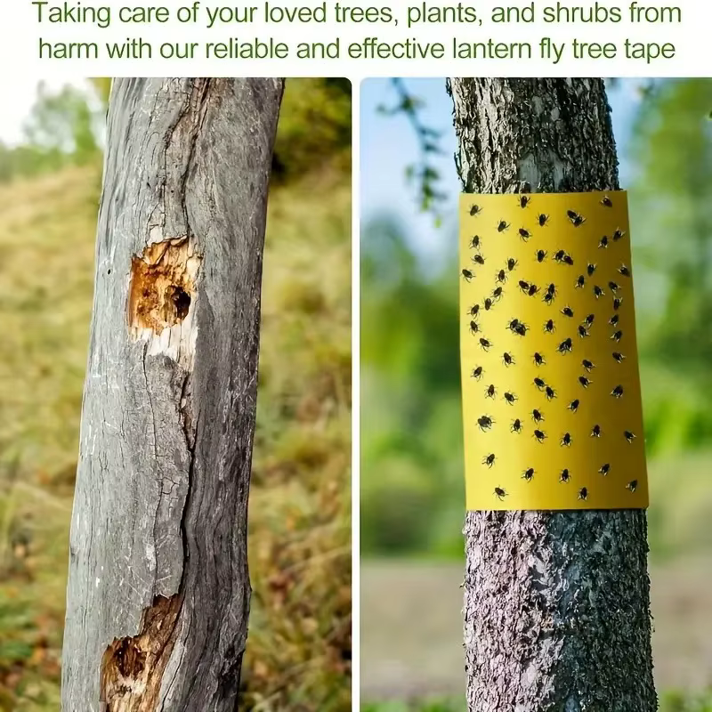 Rouleau de ruban adhésif Double face pour barrière contre les insectes