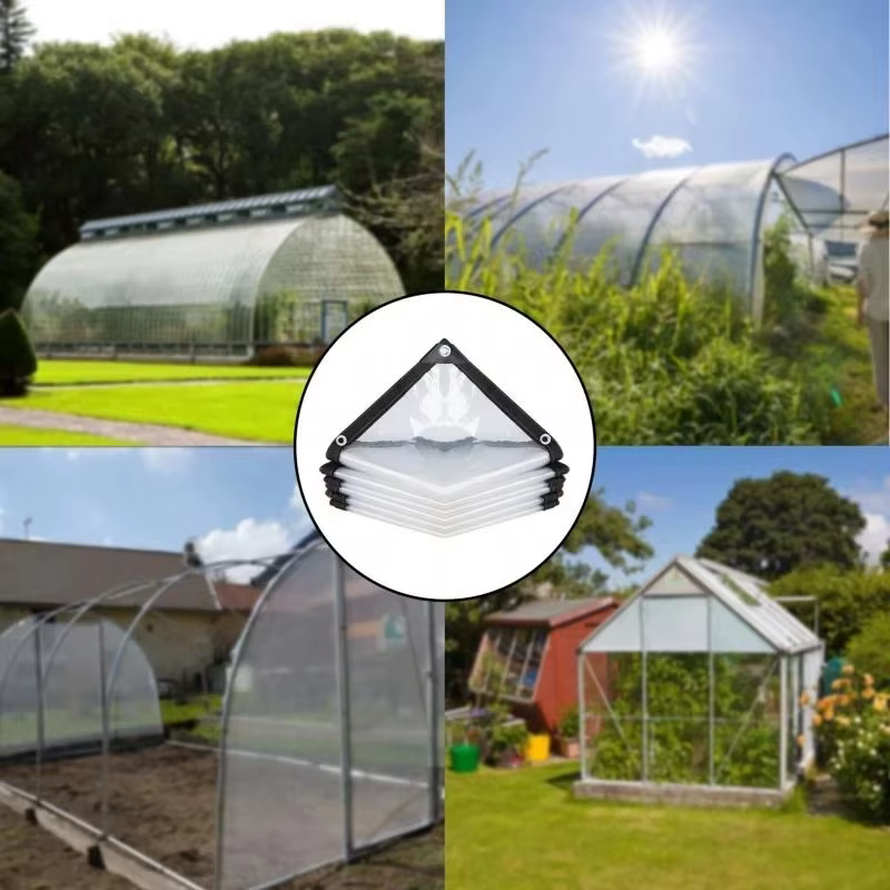 Bâche transparente pe épaisse