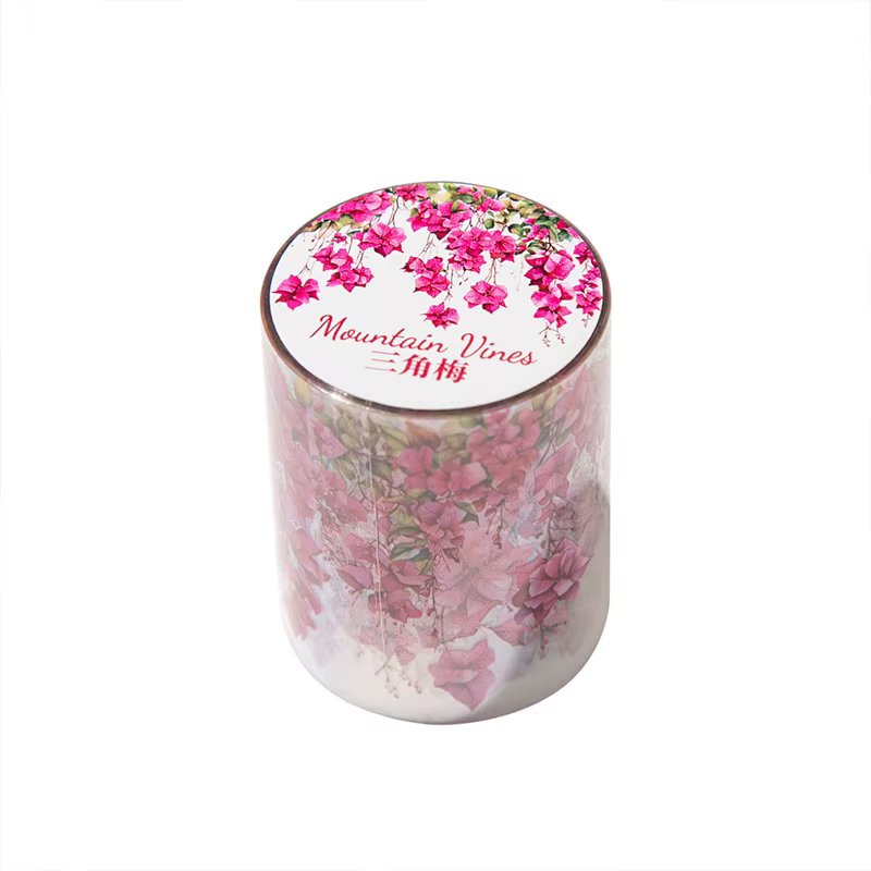 5*200 cm 1 rouleau INS thème de vigne fraîche PET bande autocollants adhésif bricolage Scrapbooking journal