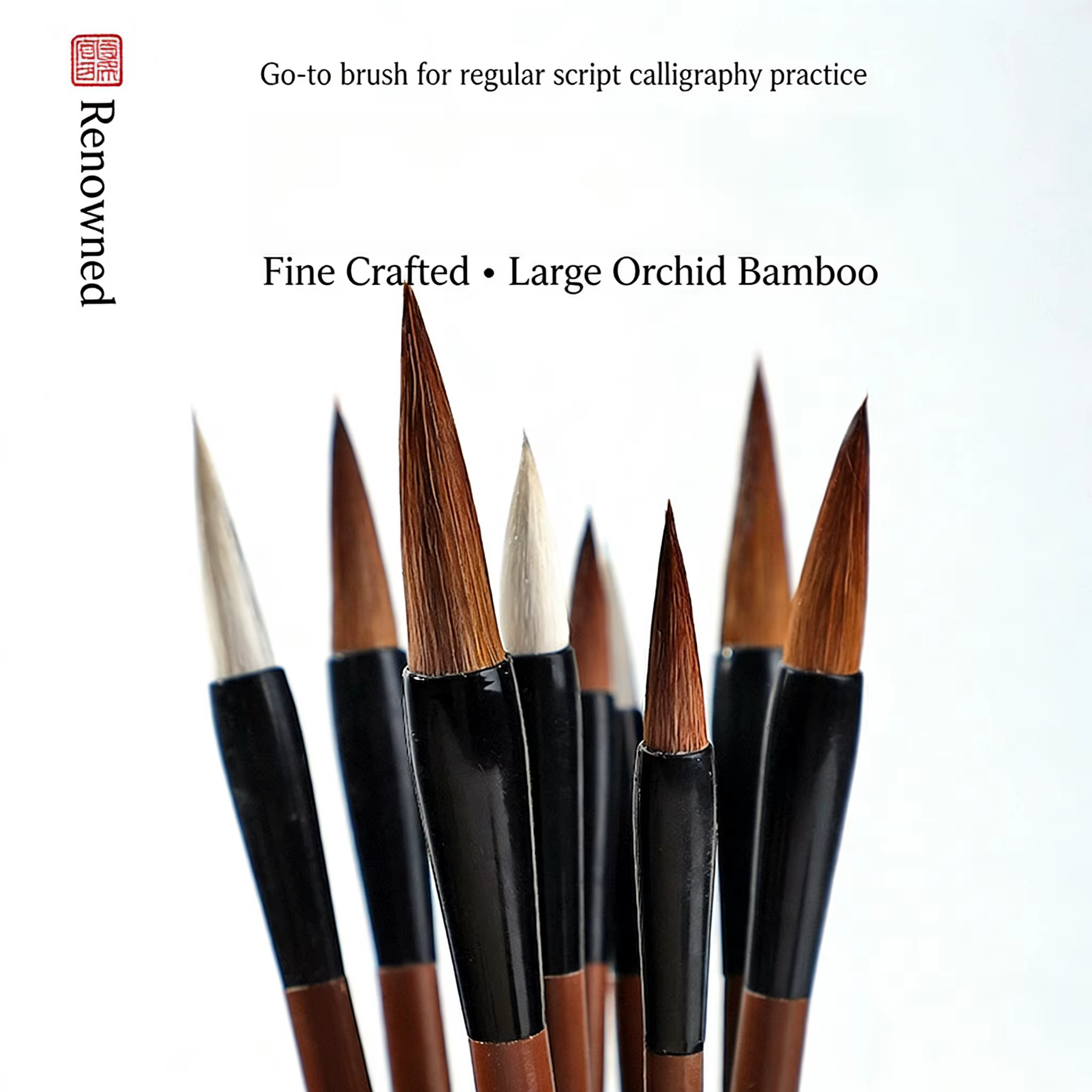 Lot de 10 pinceaux de peinture chinoise de haute qualité, style chinois, pour l'école et les fournitures artistiques
