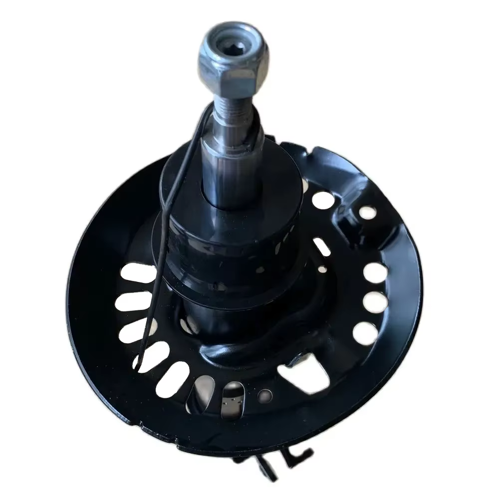 Amortisseur avant/arrière pour BYD TANG DM 2.0T-Hybride 2018 2019 2020 2021 2022 2023 - Accessoires, kit de suspension, pièces de rechange
