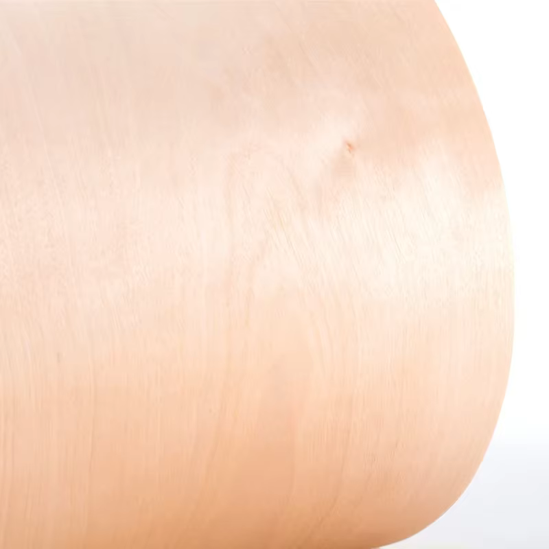 1 rouleau de placage de bouleau naturel