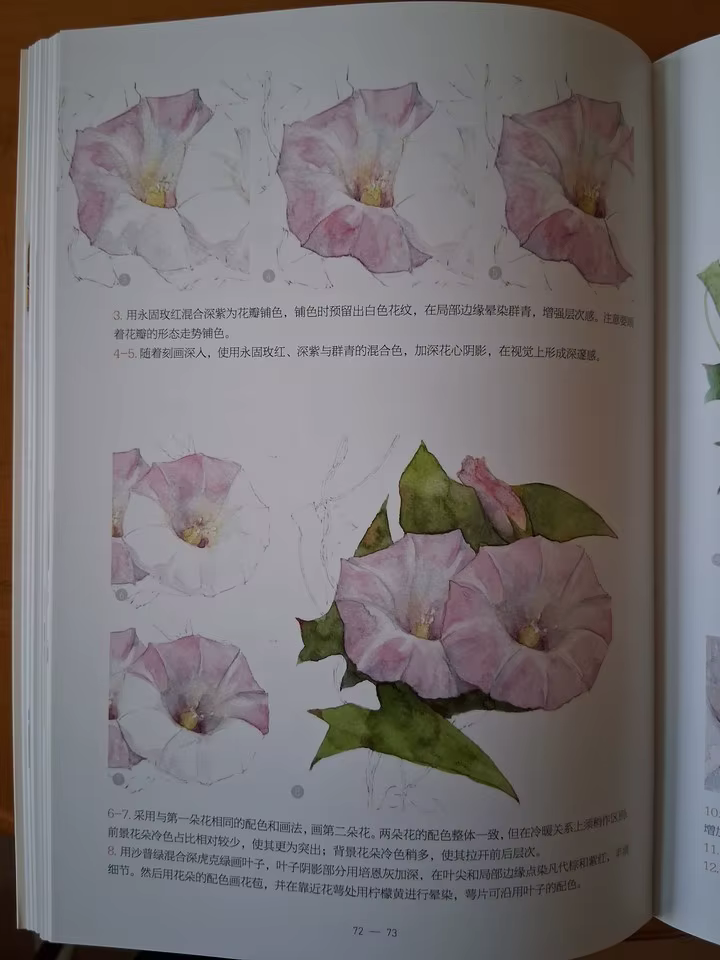 Nouveau Livre Pratique de Peinture à l'Aquarelle sur le Thème des Fleurs 2026 pour Débutants