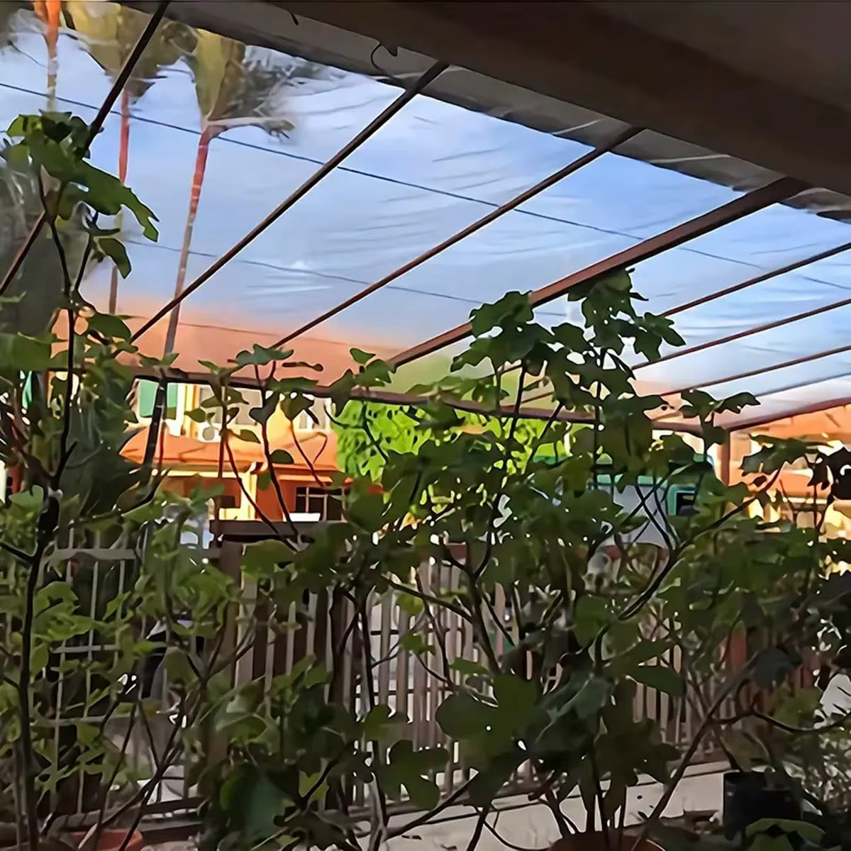 1 bâche transparente imperméable