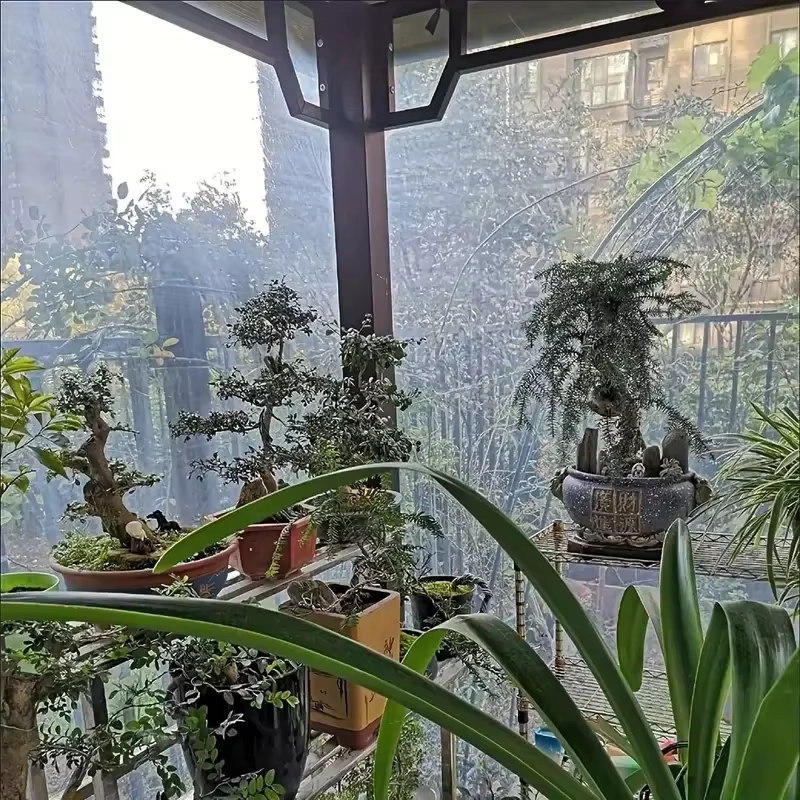 Bâche transparente pe épaisse