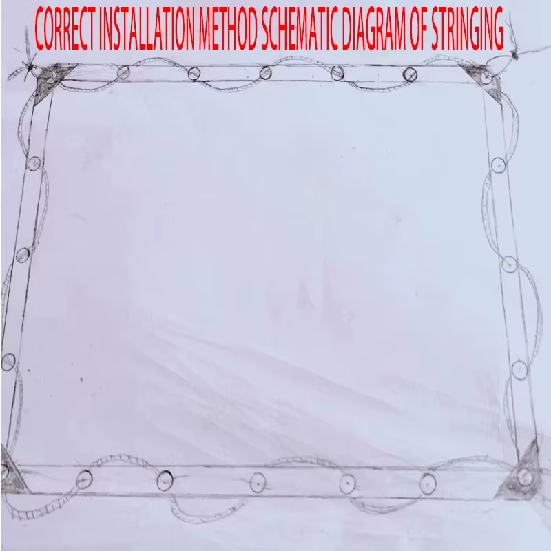 Bâche transparente imperméable légère pour ombrage et protection contre la pluie