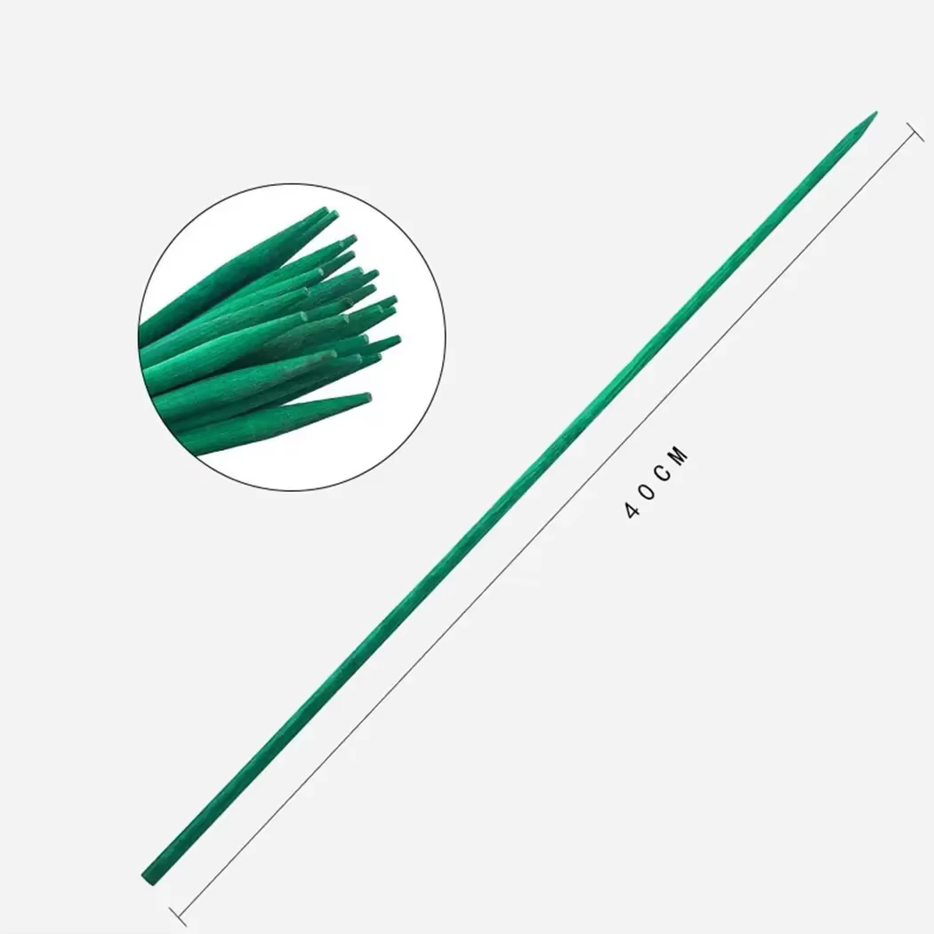 Piquet de plante en bambou vert 40cm
