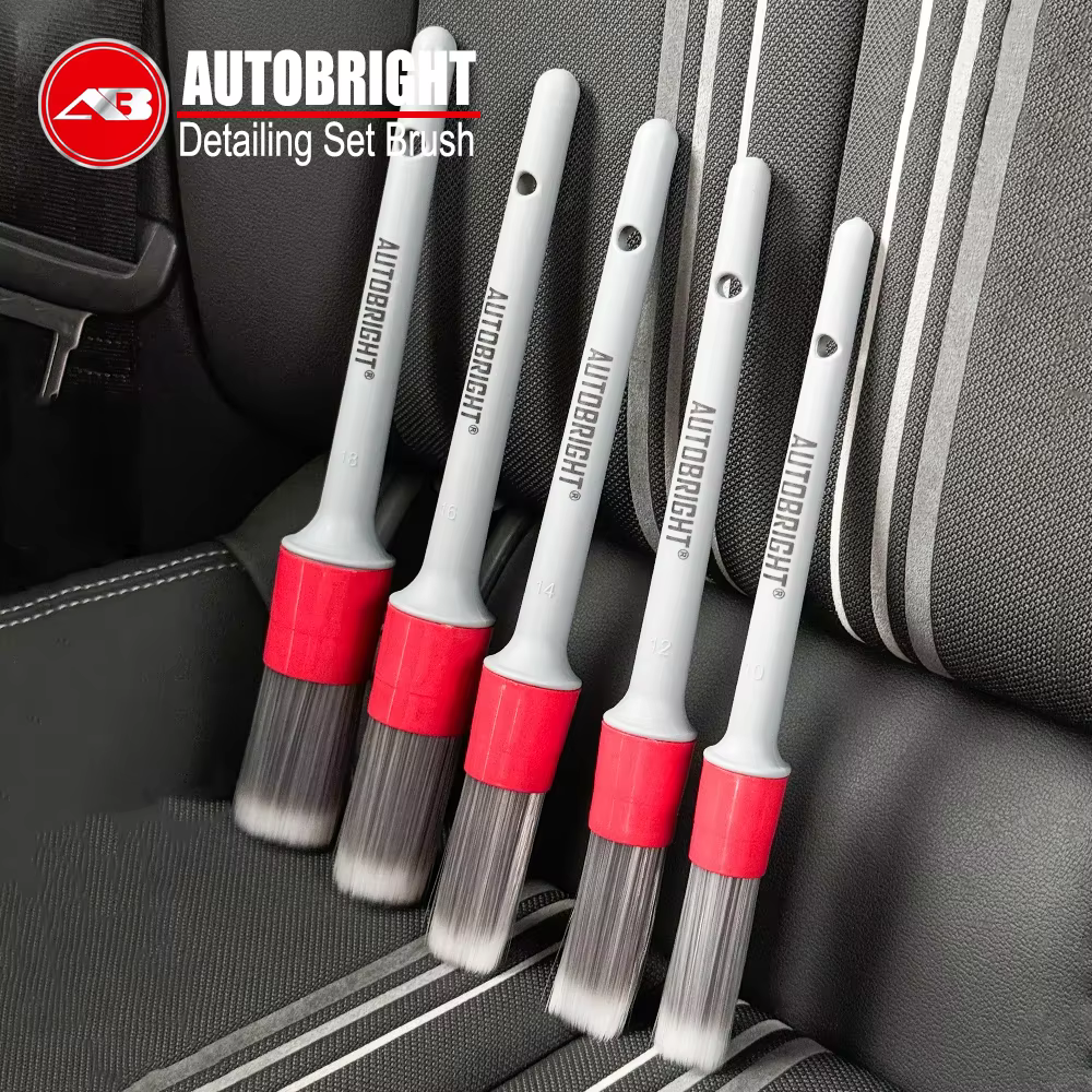 AUTOBRIGHT 5 pièces brosses de lavage de voiture brosse douce de haute qualité poils denses détail
