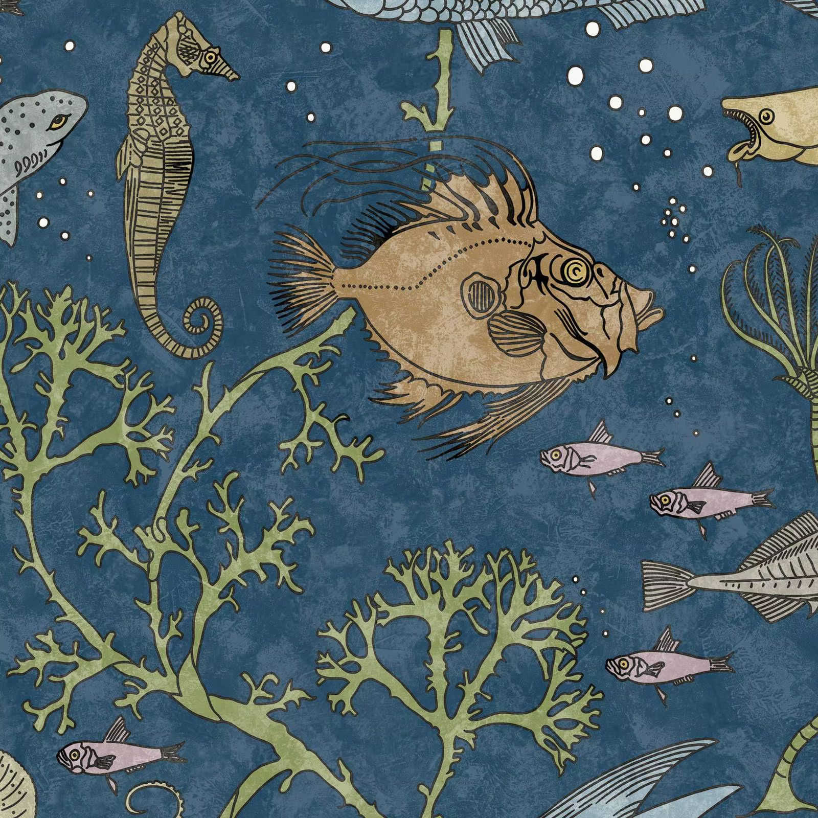 Papier peint John Dory