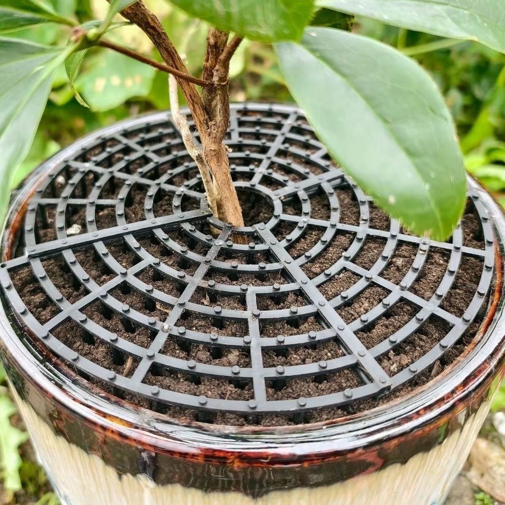 Grille de protection de sol respirante en maille pour pot de plantes, à découpes à pointes, réversible, pour la protection du sol